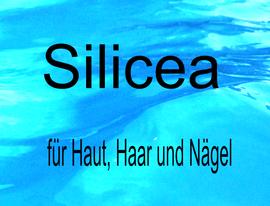 Silicea - Frischekur für unseren Körper 